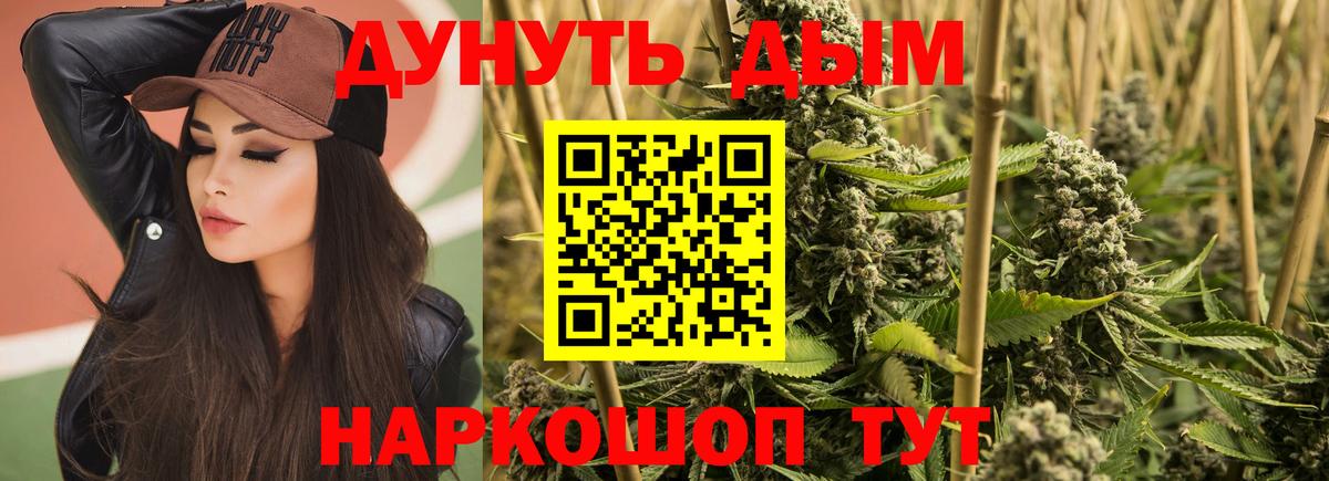 Конопля Amnesia  Вход с VPN  Бошки Шишки сатива  Новоалександровск 