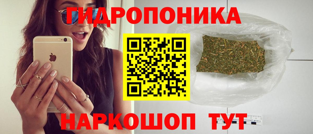 Шишки марихуана конопля Новоалександровск